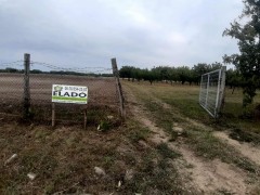  Gyümölcsös, nádas, tómeder ára 18 M Ft