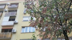  Eladó lakás, Kecskemét, ára 55 M Ft, Kód: 20260924